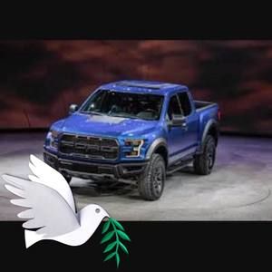 Meet your Posher, Sonny